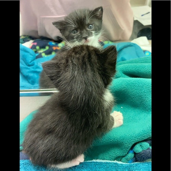 Meet your Posher, Boombilottie Finds - Picture 4 of 15